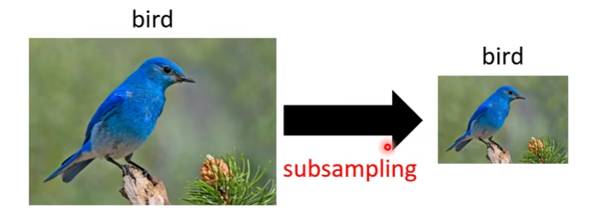 image-20240701122648852
