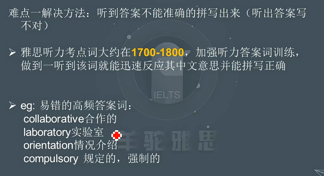 image-20240708113213821